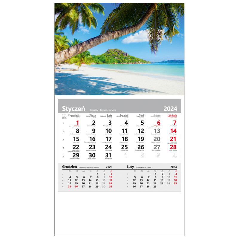 kalendarz jednodzielny  - PALMY
