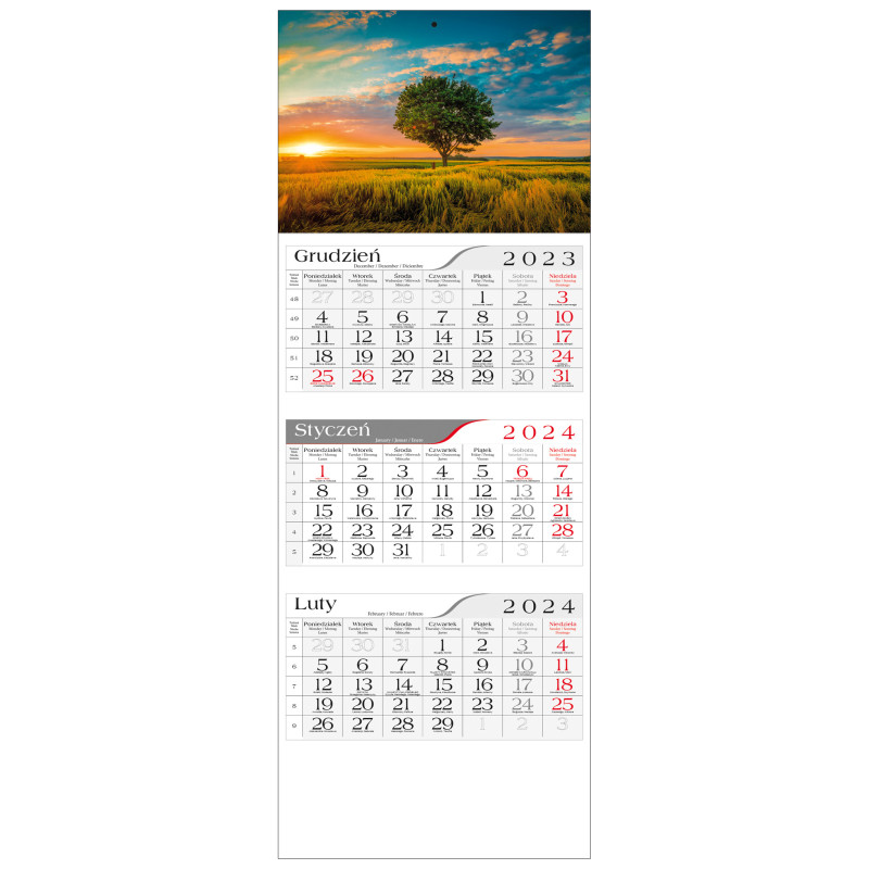 kalendarz trójdzielny - POLNE DRZEWO