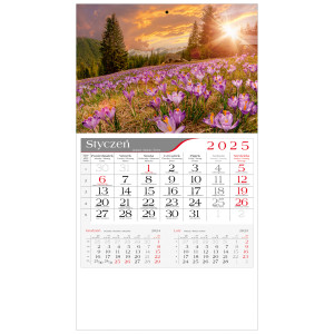 kalendarz jednodzielny  -  KROKUSY