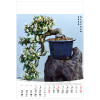 KW-126 BONSAI wieloplanszowe spiralowany