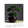 KW-126 BONSAI wieloplanszowe spiralowany