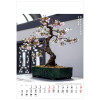 KW-126 BONSAI wieloplanszowe spiralowany