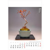 KW-126 BONSAI wieloplanszowe spiralowany