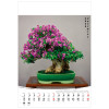 KW-126 BONSAI wieloplanszowe spiralowany