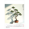 KW-126 BONSAI wieloplanszowe spiralowany