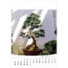 KW-126 BONSAI wieloplanszowe spiralowany