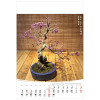 KW-126 BONSAI wieloplanszowe spiralowany