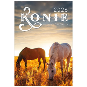 KW 31 KONIE wieloplanszowe spiralowany