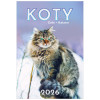 KW 34 KOTY wieloplanszowe spiralowany