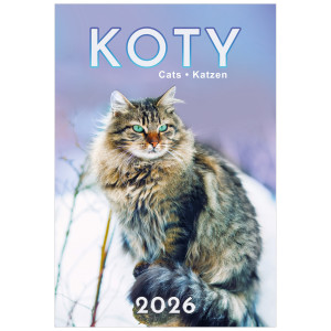 KW 34 KOTY wieloplanszowe spiralowany