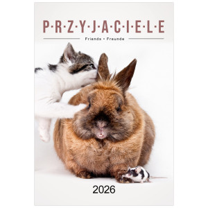 KW 35 PRZYJACIELE wieloplanszowe spiralowany