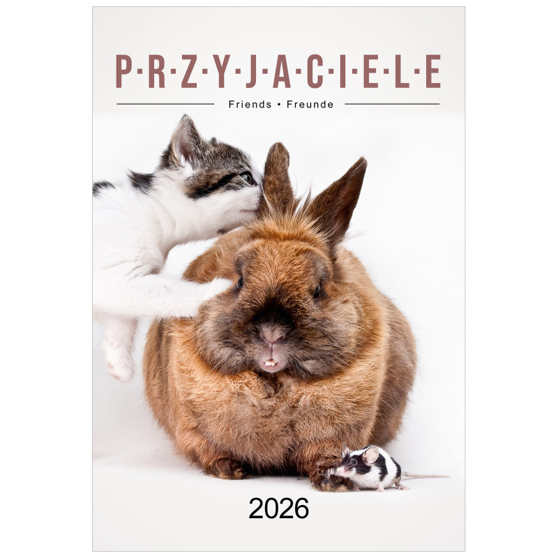 KW 35 PRZYJACIELE wieloplanszowe spiralowany