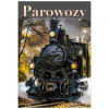 KW-89 PAROWOZY wieloplanszowe spiralowany