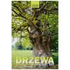 KW-146 DRZEWA NA WIETRZE wieloplanszowe spiralowany