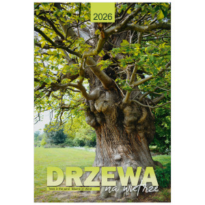 KW-146 DRZEWA NA WIETRZE wieloplanszowe spiralowany